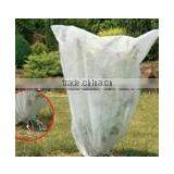 Fruit Protection Bag thumbnail-1