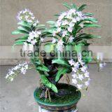 Artificial Bonsai Flower Tree for Home/garden Decor Sale [ABF-26]( Plant of ESTE ) thumbnail-1