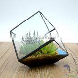 Versatile Clear Glass Terrarium for Plant or Flower thumbnail-1
