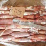 Frozen Whole Round Red Squid thumbnail-3