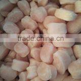 Wholesale Frozen Fresh Pen Shell Scallop in Season thumbnail-2