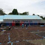 Sell Gracilaria, Eucheuma Spinosum And Cottonii thumbnail-6