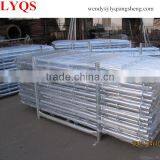 China Manufacturer Supplier Rosette Layher Ringlock Scaffolding thumbnail-5