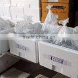 Ornamental Fish Farm and Export Company thumbnail-6