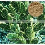 Caralluma Fimbriata Extract thumbnail-1