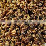 Celery Seed thumbnail-1