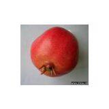 Artificial Vegetable thumbnail-1