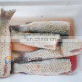 Industrial Automatic Fish Heads and Tails Cutting Slicing Machine thumbnail-6