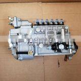 Shanghai C6121 Diesel Engine Fuel Injection Pump Longbeng P10Z010 BH6P110 thumbnail-2