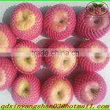 100% Organic Apple/Fuji Apple/Fresh Apples thumbnail-2