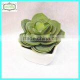 15cm New Design Hot Sale Cactus Bonsai Pots Cheap thumbnail-1