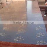 Chinese Hot Selling Brown Film Faced Plywood thumbnail-2