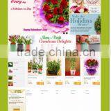 Shop Website thumbnail-2