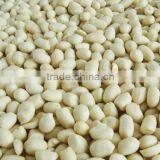 High Quality Blanched Peanuts 61/71 2014 Hot Sale From China thumbnail-1