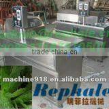 High Capacity Aloe Cutting Machine