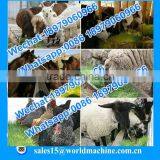 Hydroponic Poultry Feed Manufacturing Machine for Sale/hydroponic Fodder System/hydroponic Culturing Barley Breeding Machine thumbnail-6