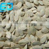 Market Price Wholesale Pumpkin Seeds, Shine Skin Pumpkin Seeds Price thumbnail-1