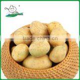 Wholesale Potato/Potato Low Price/ Fresh Potato From China thumbnail-1