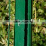 Holland Wire Mesh for Farm/epoxy Coated Welded Wire Mesh thumbnail-2