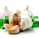 Garlic Oil FCC thumbnail-5