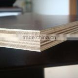 17mm film faced plywood for building