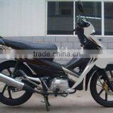 Motorcycle/Cub Motorcycle WJ110(VII)(WJ-SUZUKI Engine)