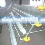 quail cages /high quality chicken cages for sale