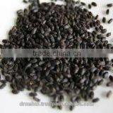 Besobila thumbnail-1