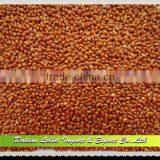Red Millet 2013 Crop Brids Food thumbnail-1