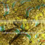 70g Fresh Taro Market thumbnail-1