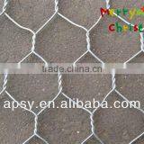 Gabion Box/hexagonal Wire Mesh /best Quality