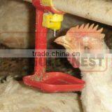 Goldenest Poultry Farming Equipment Broiler Automatic Poultry Drinkers Nipples for Sale thumbnail-2