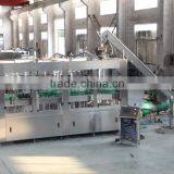 Glass Bottle Filling Machine/machinery/line/plant in Zhangjiagang thumbnail-2