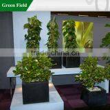 Decorative Plant Stakes,Coconut Plant Stake thumbnail-1