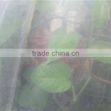 Polyethylene Plastic Film Blowing Machine With Best Price for Greenhouse thumbnail-4