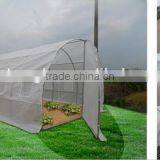 8m (L) X 3m (W) X 2m (H) Polytunnel Greenhouse Pollytunnel Poly Polly Tunnel Fully Galvanised Anti Rust Steel Frame thumbnail-1