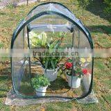 Folding Greenhouse thumbnail-1