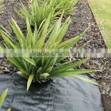 Black Weed Mat thumbnail-6