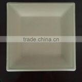 10" Square Biodegradable Sugarcane Bagasse Lunch Tray