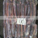 Illex Squid Argentinus thumbnail-1