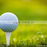 Golf Shoulder Bag for Golf Match thumbnail-4