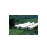 High Density Polyethylene Film thumbnail-1