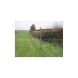 field fence,Prairie fence, Cattle fence, Grassland Fence,ot-dipped galvanized steel wire