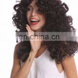 Carnival Crazy Wigs for Lady P-W202 thumbnail-6