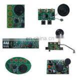Voice Record and Playback Chip for Graphic Card
