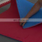 T Pattern 4cm High Thickness MMA Taekwondo Mat thumbnail-6
