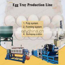 Hot Sale Paper Carton Egg Tray Automatic Making Pulp Molding Machine Plant thumbnail-4