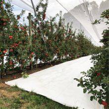 3*100m PP Woven White Light Reflective Weed Control Mat, 90GSM Orchards Ground Cover Weed Barrier Fabric thumbnail-2
