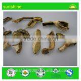 Wild Mushroom Factory Supplier for Imports thumbnail-1