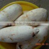Large Potato Drum Cleaning and Polishing Machine/carrot Washing and Polishing Machine thumbnail-5
